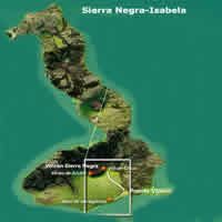 galapagos islands Isabela