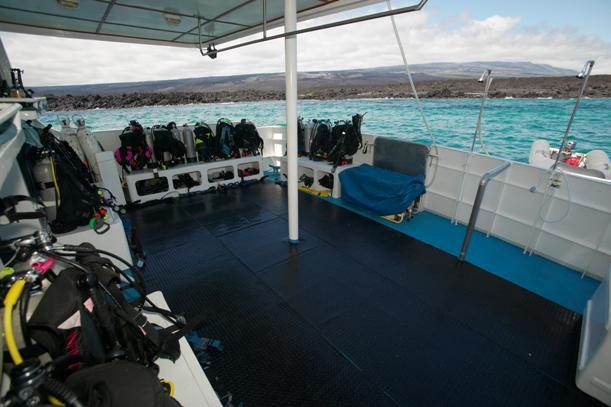 galapagos diving live aboard